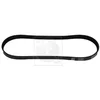 Image de Courroie D'accessoires Nps M111a72
