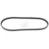 Image de Courroie D'accessoires Nps M111i03