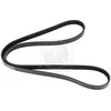 Image de Courroie D'accessoires Nps M111i11