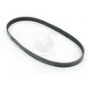 Image de Courroie D'accessoires Nps M111i66