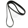 Image de Courroie D'accessoires Nps S111i24