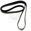 Image de Courroie D'accessoires Nps S111i28