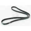 Image de Courroie D'accessoires Nps T111a36