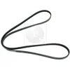 Image de Courroie D'accessoires Nps T111a38