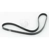 Image de Courroie D'accessoires Nps T111a44