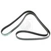 Image de Courroie D'accessoires Nps T111a57