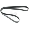Image de Courroie D'accessoires Nps T111a59