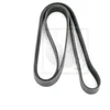 Image de Courroie D'accessoires Nps T111a67