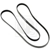 Image de Courroie D'accessoires Nps S111g03