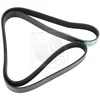 Image de Courroie D'accessoires Nps H111i21