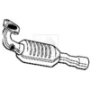 Image de Catalyseur Nps T431a29