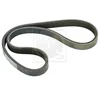 Image de Courroie D'accessoires Nps H111a54