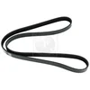 Image de Courroie D'accessoires Nps S111i38