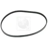 Image de Courroie D'accessoires Nps T111a72