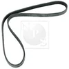 Image de Courroie D'accessoires Nps T111a78