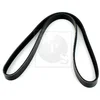 Image de Courroie D'accessoires Nps M111a81
