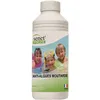 Image de Antialgues piscine, liquide 1 l