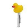 Image de Thermomètre flottant canard pour piscine avec cordon