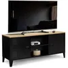 Image de Meuble TV 113 cm ESTER 2 portes métal noir et plateau bois design industriel