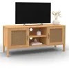Image de Meuble TV 110 cm EDHEN 2 portes bois et cannage