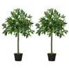Image de Lauriers artificiels 0,90H m - lot de 2 lauriers boules artificiels - 564 feuilles réalistes par pied - pot inclus noir vert