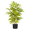Image de Bambou artificiel H. 60 cm feuilles denses réalistes pot inclus noir avec lichen vert