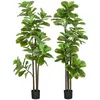 Image de Ficus Lutea artificiels 1,80H m - lot de 2 ficus artificiels - 120 feuilles réalistes par pied - pot inclus noir vert