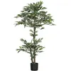Image de Plante artificielle ficus H.1,5 m troncs branches liane lichen feuilles grand réalisme pot inclus