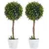 Image de Lot de 2 plantes artificielles avec fleurs de lavande arbre artificiel tronc et pot inclus - hauteur 60 cm intérieur et extérieur vert