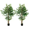 Image de Lot de 2 plantes artificielles arbres ficus H.1,50 m tronc branches liane lichen feuilles grand réalisme pot inclus