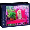 Image de Bluebird Puzzle 500 pièces Chiot dans le jardin coloré (500 pièces)