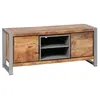 Image de PALISSA - Meuble TV 2 Portes Bois et Acier Patiné - Altobuy