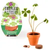 Image de Mini kit de trèfle à 4 feuilles