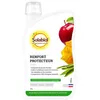 Image de solabiol - purin d'orties concentré : bidon 1 l