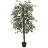 Image de Plante artificielle feuillage panaché 185 cm