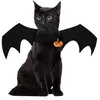 Image de Déguisement chien ou chat ailes de chauve-souris costume
