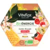 Image de Vitaflor Gelée Royale Bio Energie 1000 mg Ampoules x 20