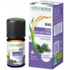 Image de Naturactive Huile Essentielle Bio Pin Sylvestre 5 ml