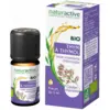 Image de Naturactive Huile Essentielle Thym à Thymol Bio 5 ml