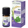Image de Naturactive Huile Essentielle Bio Origan Compact 5 ml
