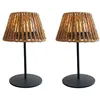 Image de 2 Lampes de table TWINS RAFFY H24cm