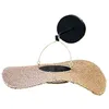 Image de Applique Murale Solaire CORALIA D32cm