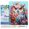 Image de Peinture par Numéro Figured'Art avec Cadre - Hibou coloré en fleurs - Numéro d'Art Complet - 40x50cm toile tendue sur châssis