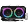 Image de Pickering BLASTER300 - Enceinte sans fil Bluetooth autonomie 2 h fonction radio - Noir