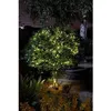 Image de Guirlande solaire e térieure LUCIOLE 200 leds chaud SMART GARDEN 21.9m Blanc