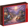 Image de Alipson Puzzle Puzzle 500 pieces Evening Lights (500 pièces)