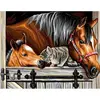 Image de Oz International - Peinture au numéro - Initiés : Un trio en or