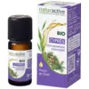 Image de Naturactive Huile Essentielle Bio Cyprès 10 ml