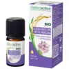 Image de Naturactive Huile Essentielle Bio Géranium Bourbon 5 ml
