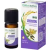 Image de Naturactive Huile Essentielle Bio Niaouli 10 ml